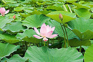 科幻恐怖FPS新作《RIPOUT》预告 展示危险场景